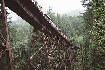 Orange train crossing high steel trestle bridge in forest