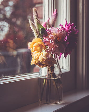 Colorful Dahlia and Rose Bouquet in Glass Vase by Window