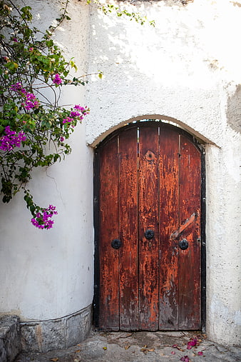 Weathered Wooden Door with Bougainvillea Flowers