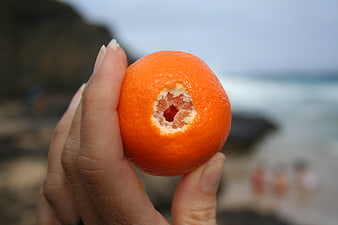 Hand holding fresh orange fruit on beach background