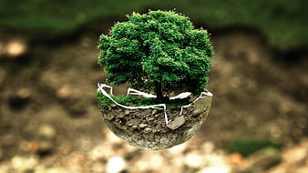 Surreal miniature tree growing inside a cracked glass sphere