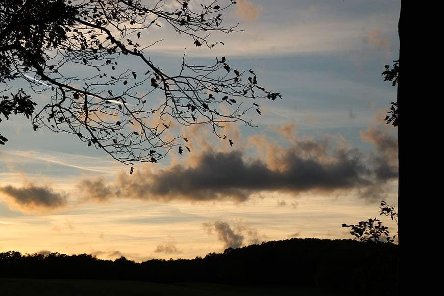 Silhouette of tree branches against a dramatic sunset sky