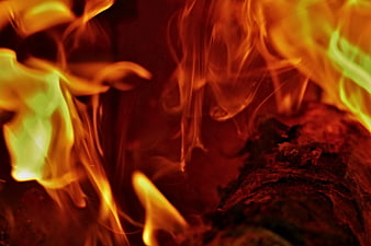 Close-up of vibrant orange and yellow flames burning on wood