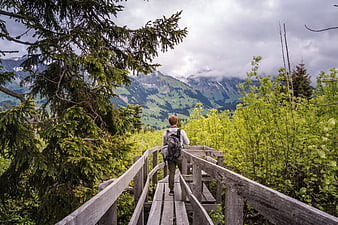 Hiker walking on wooden boardwalk in Swiss Alps forest
