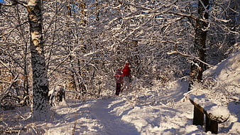 Two people hiking on a snowy forest path in winter