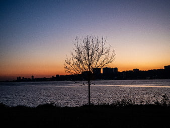 Silhouetted Tree Against Sunset Skyline and River