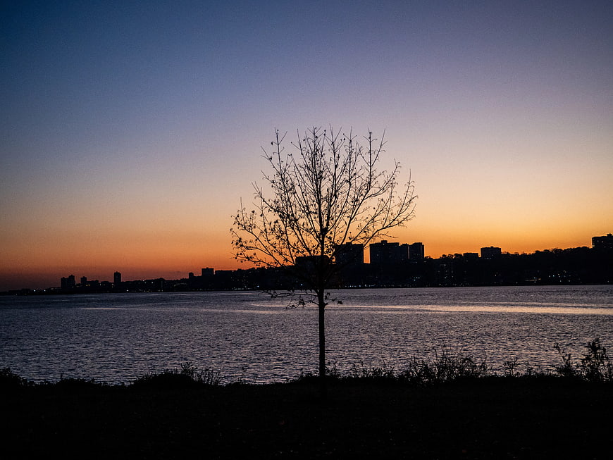 Silhouetted Tree Against Sunset Skyline and River