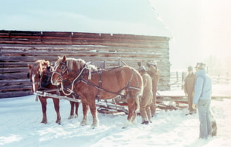 Horses and Men in Snowy Winter Landscape with Wooden Barn