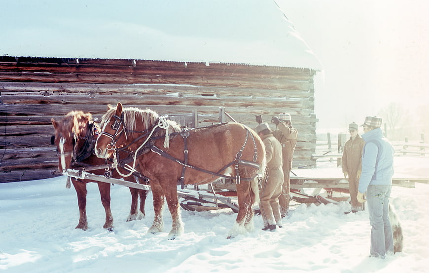 Horses and Men in Snowy Winter Landscape with Wooden Barn