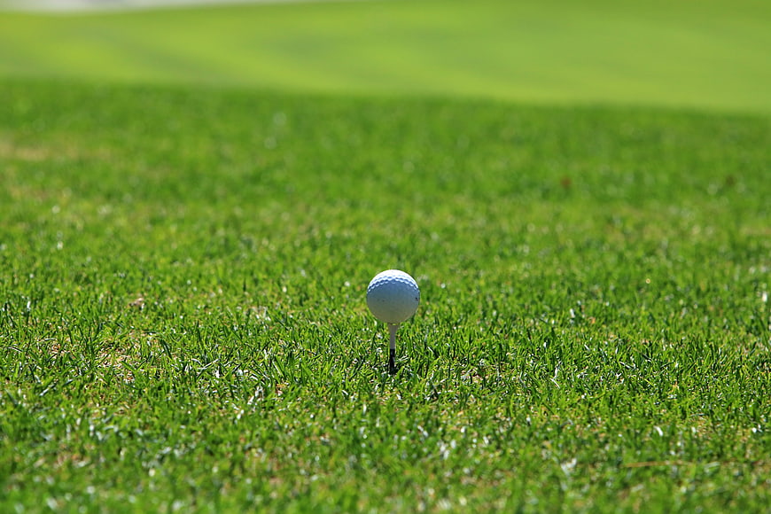 Golf ball on tee in vibrant green grass on a sunny day