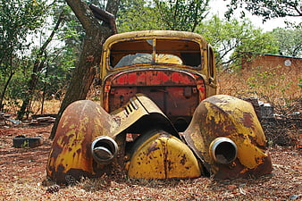 Rusty Abandoned Vintage Car Wreck in Overgrown Forest