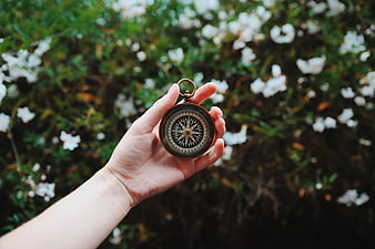 Hand holding vintage compass against blurred white flowers