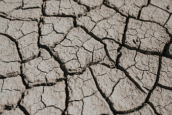 Close-up of cracked dry earth texture during drought