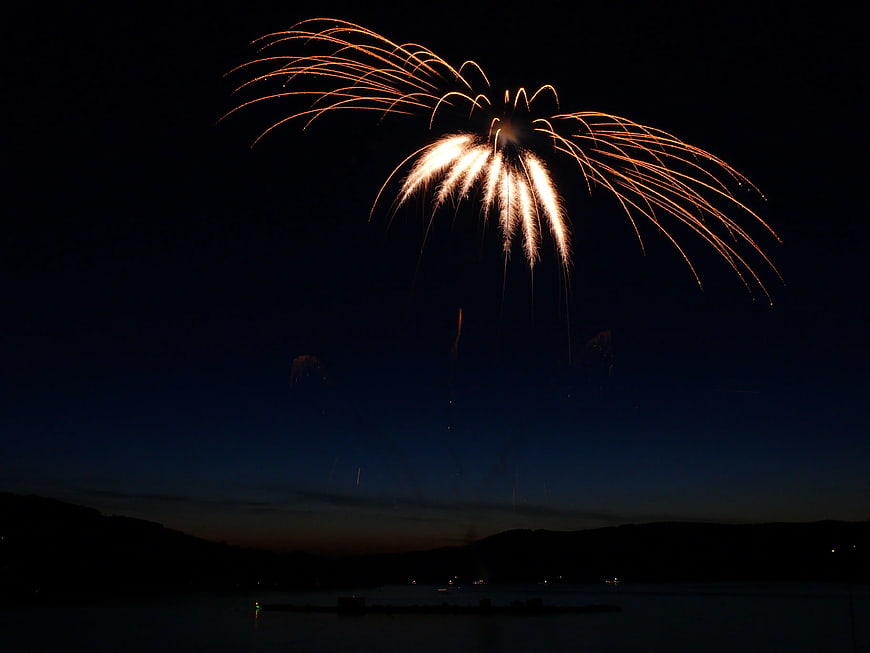 Golden Fireworks Exploding Over Dark Lake at Night