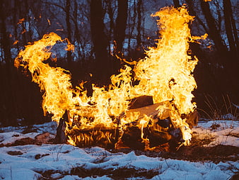 Bonfire Burning in Snowy Forest at Dusk