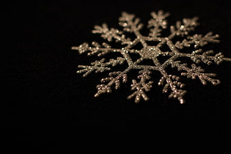 Silver Glitter Snowflake on Black Background
