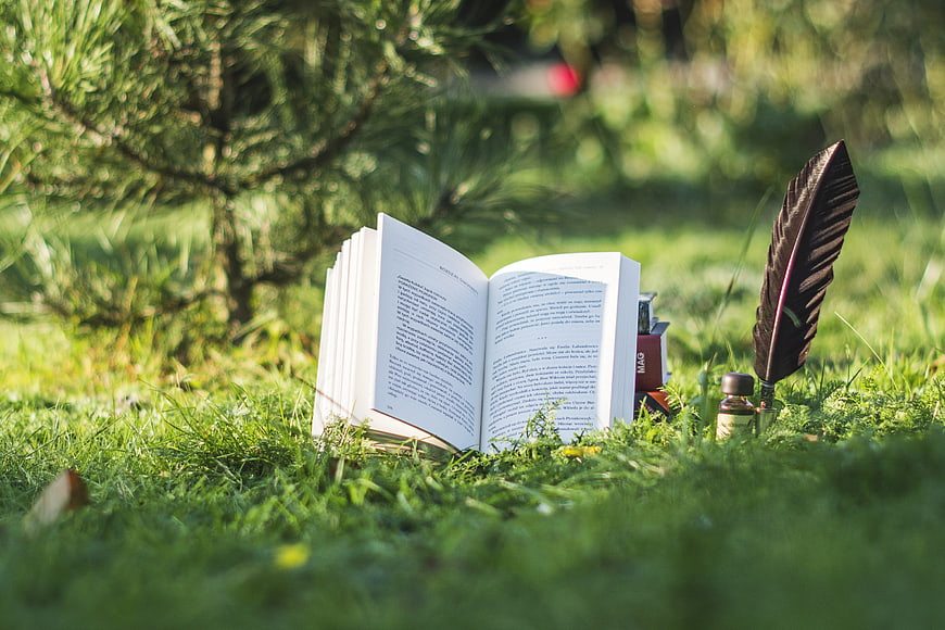 Open book and quill pen on green grass in a sunny garden