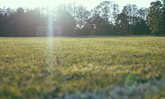 Soccer Goal on Grassy Field with Morning Sunlight