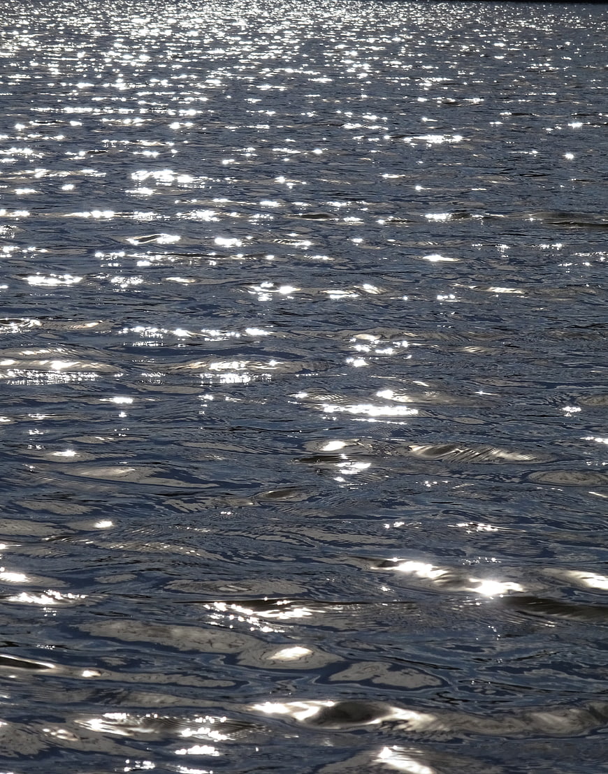 Sparkling Sunlight on Rippling Blue Water Surface