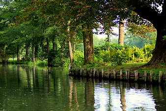Tranquil Spreewald Canal With Lush Green Forest Reflections