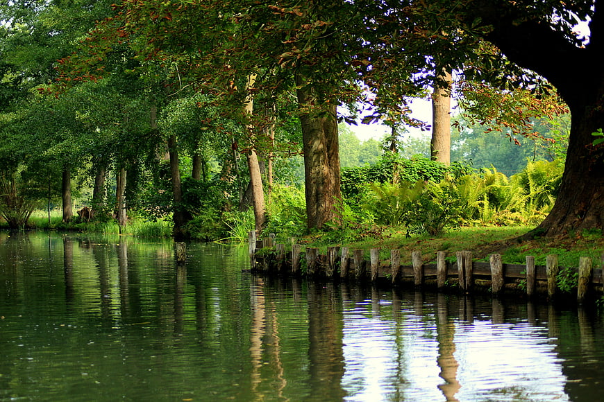 Tranquil Spreewald Canal With Lush Green Forest Reflections