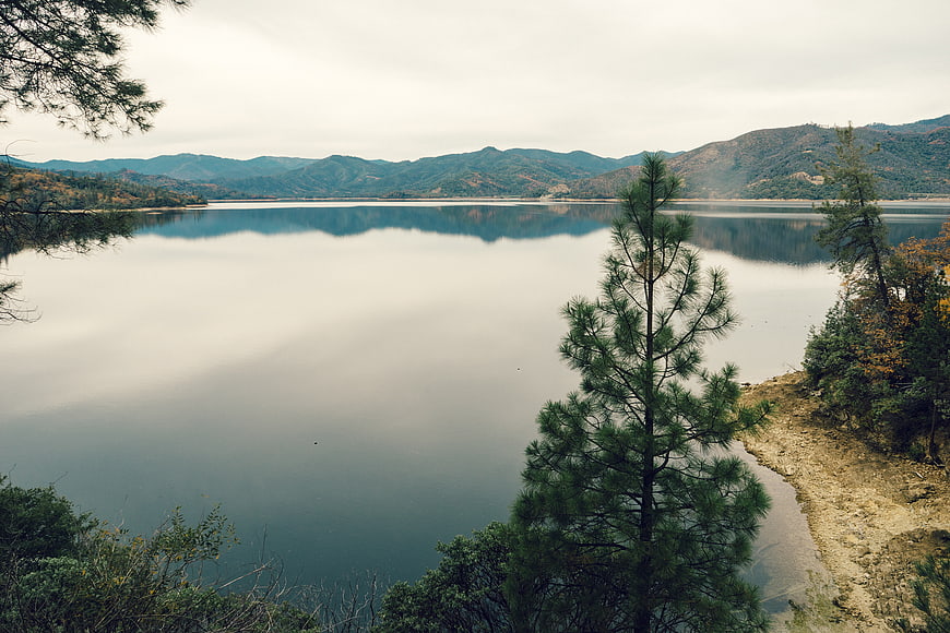 Serene Lake Landscape with Pine Trees and Mountain Reflections