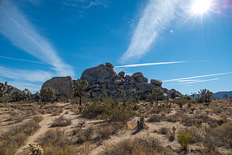 Joshua Tree National Park desert landscape with rock formation
