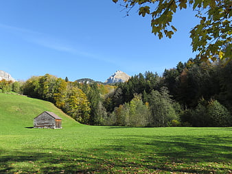 Rustic wooden shed in green meadow with autumn mountains