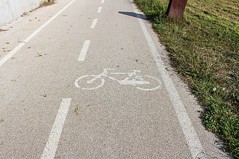 Paved bicycle path with white bike symbol and grass