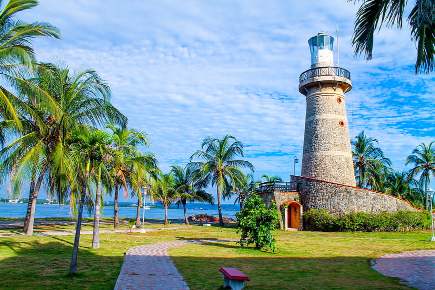 Tropical Lighthouse with Palm Trees and Blue Sky