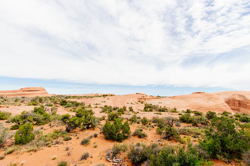 Wide desert landscape with red rock formations and green shrubs