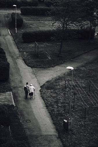 High Angle Black and White Photo of Couple Walking in Park