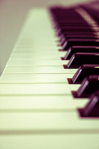 Close-up of Piano Keys with Shallow Depth of Field
