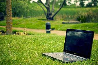 Laptop on Green Grass in Park