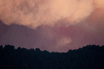 Moody Pink and Purple Clouds Over Dark Forest Silhouette