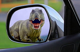 Tyrannosaurus Rex reflection in car side mirror