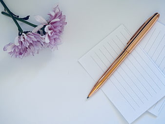 Minimalist flat lay with gold pen, lined paper, and pink flowers on white background