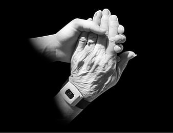 Young hand holding elderly hand with medical wristband in black and white
