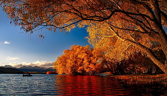 Vibrant Autumn Trees Reflecting in Lake Tekapo New Zealand