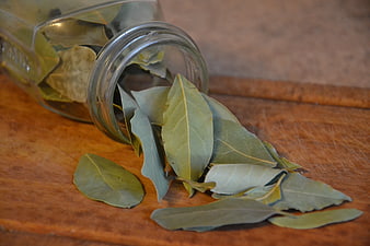 Dried bay leaves spilling from a glass jar on a wooden table