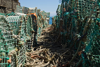 Stacked lobster traps and ropes on a sunny dock