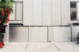 Modern House Facade with Garage Doors and Red Flowers