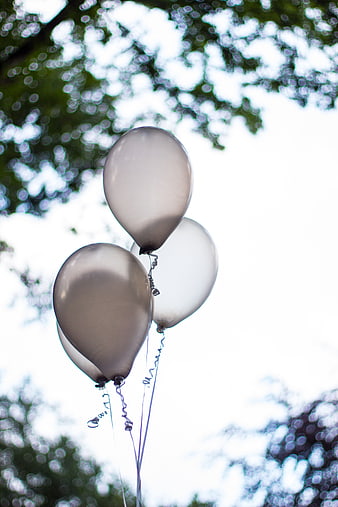 Silver balloons floating against a bright sky with blurred green tree foliage