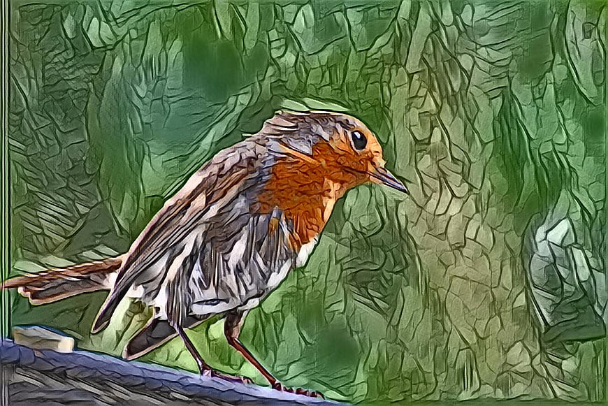 Artistic illustration of a European robin on a branch