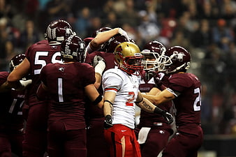 Football players celebrating a touchdown on the field