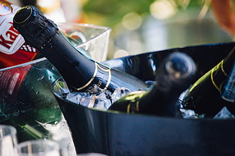 Champagne bottles chilling in ice bucket for celebration