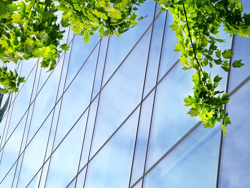 Low angle view of modern glass office building with green leaves
