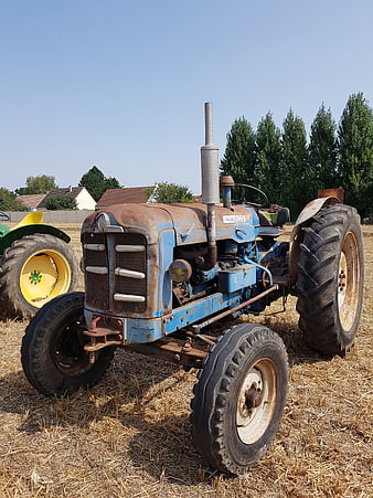 Vintage Blue Rusty Tractor in Hayfield