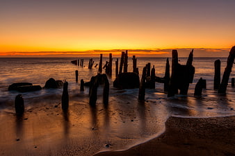 Silhouetted Wooden Pilings on Sandy Beach at Golden Sunset