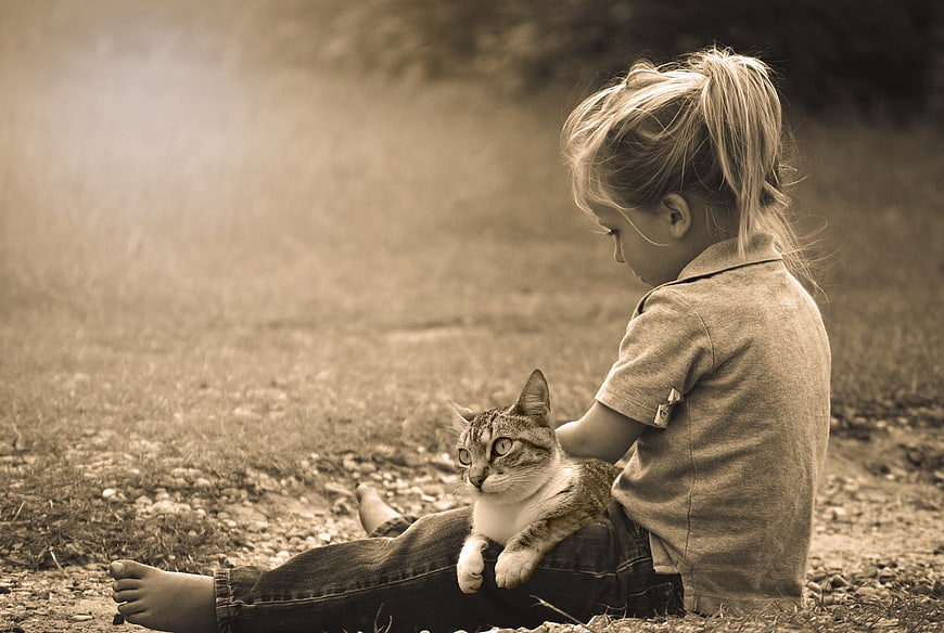 Young Girl Sitting On Grass With Tabby Cat In Sepia Tone